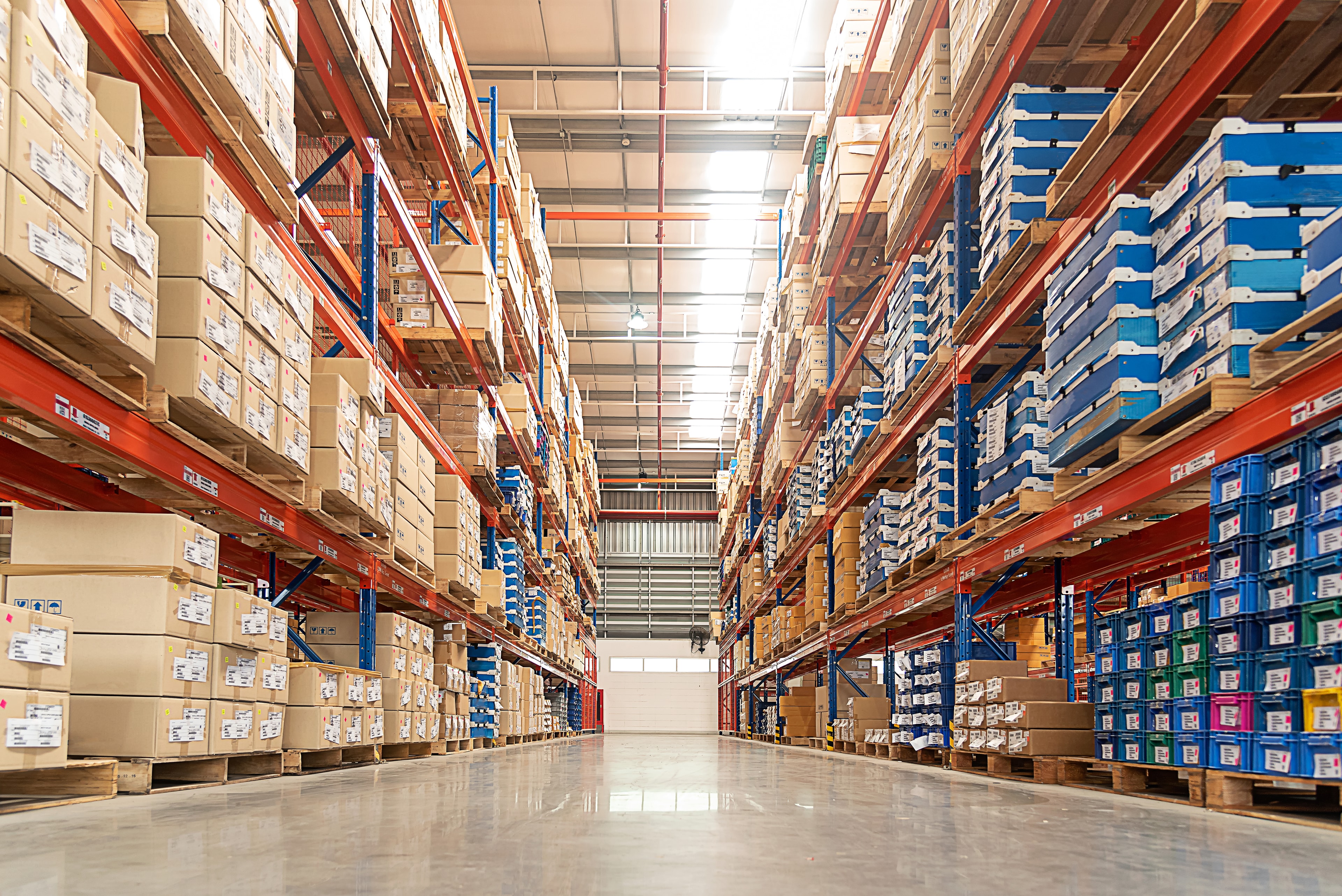 Modern fulfillment center and warehouse operations showing organized logistics infrastructure